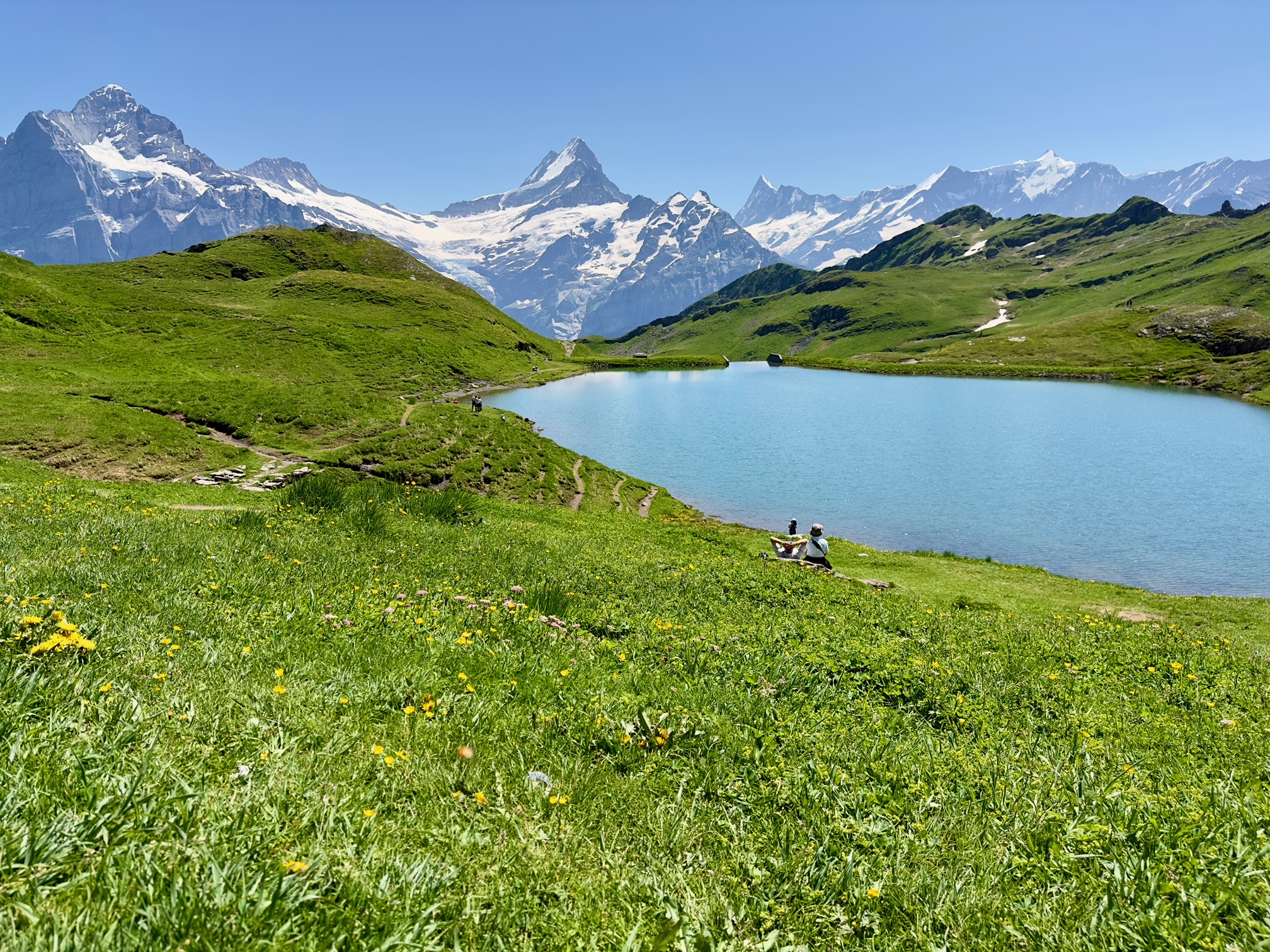 grindelwald