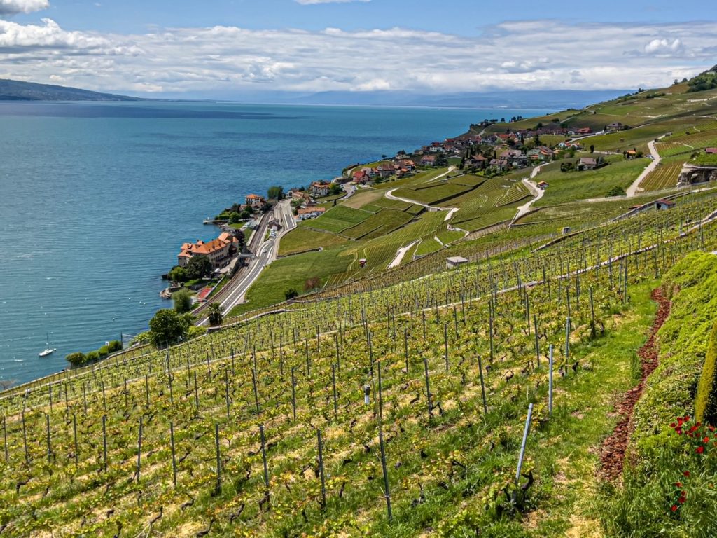 lavaux